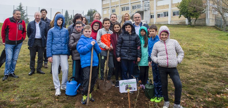 A Deputación celebra os días da Árbore e da Auga plantando carballos en 86 colexios da provincia