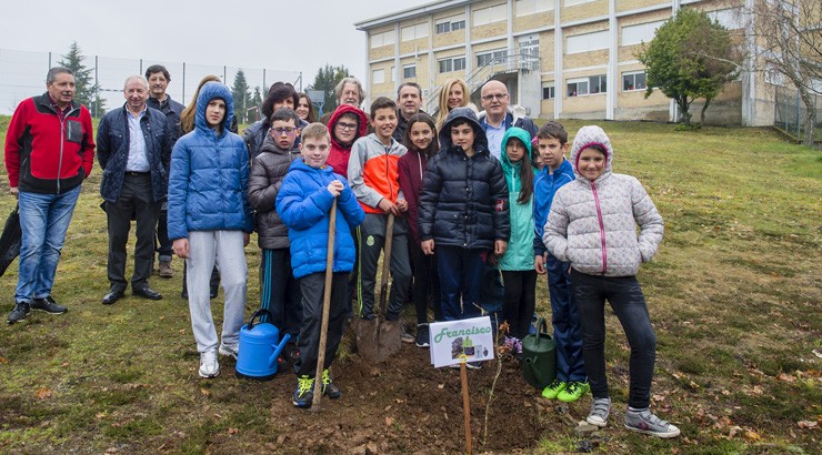 A Deputación celebra os días da Árbore e da Auga plantando carballos en 86 colexios da provincia