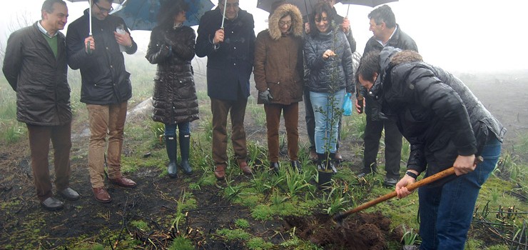 A restauración forestal de Cualedro tras o lume estará rematada esta primavera