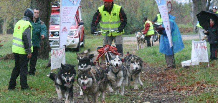 A “VII Travesía de Mushing Camino de Santiago” percorre a Ecovía do Támega