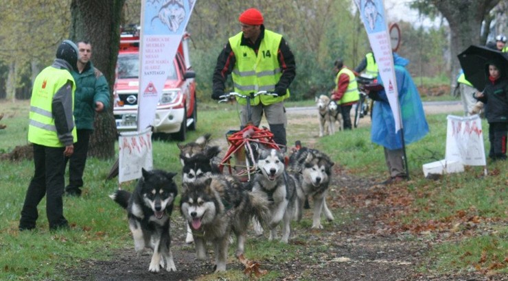 A “VII Travesía de Mushing Camino de Santiago” percorre a Ecovía do Támega