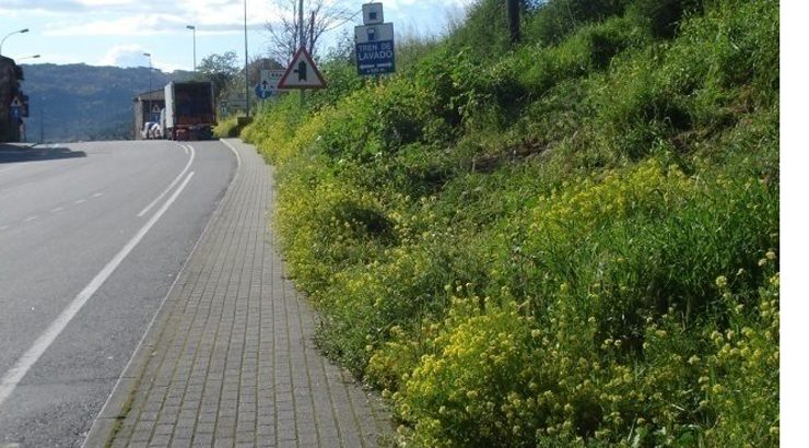 O PSOE insta a executar actuacións urxentes no barrio do Pino