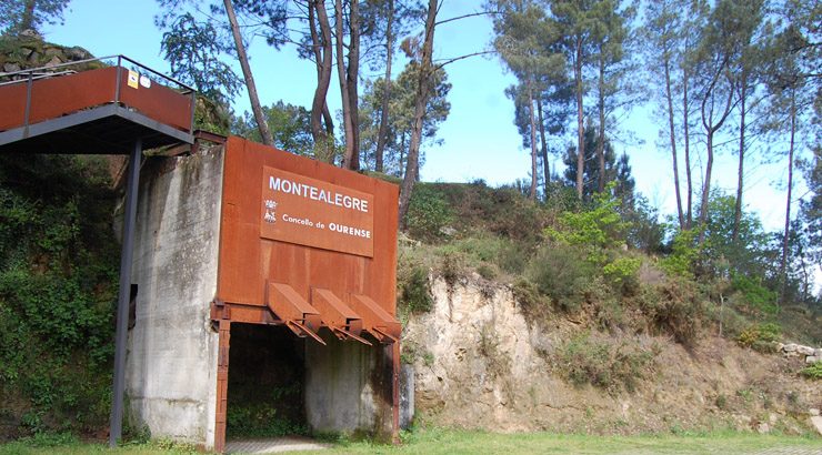 Ourense presume de flora coa exposición de bonsais