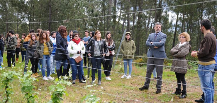 Alumnado do IES García Barbón participan nun obradoiro sobre cooperativismo