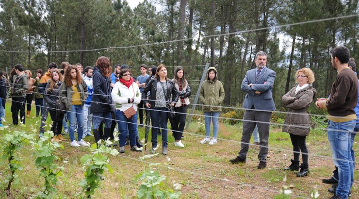 Alumnado do IES García Barbón participan nun obradoiro sobre cooperativismo