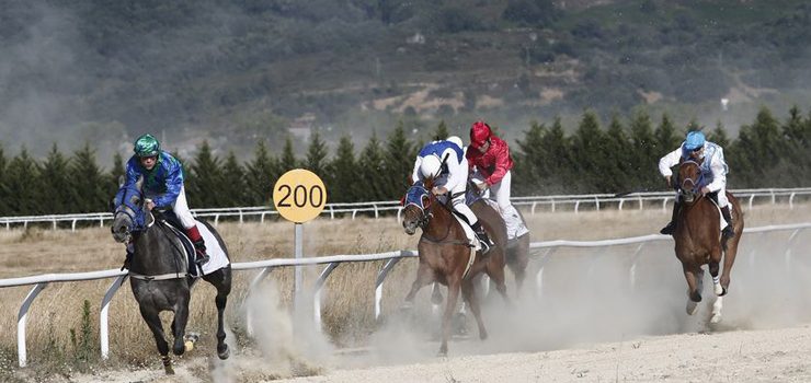 Carreiras de cabalos no Día das Letras Galegas