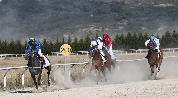 Carreiras de cabalos no Día das Letras Galegas