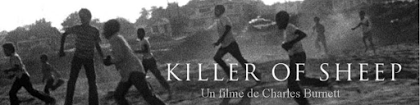 Cine: «Killer of sheep»