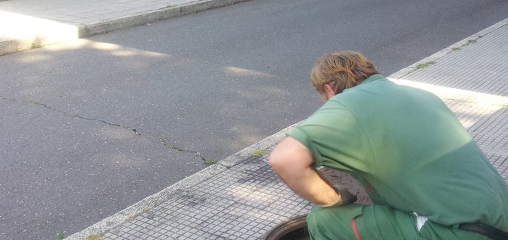 O Concello desratiza o contorno da estación de autobuses