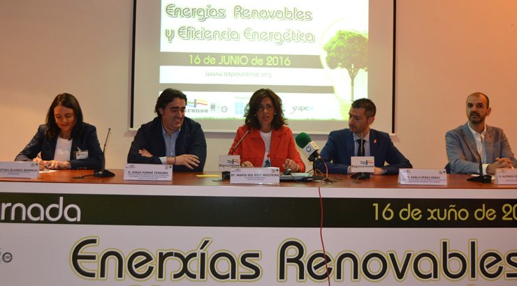 A biomasa, eixo do futuro enerxético de Galicia