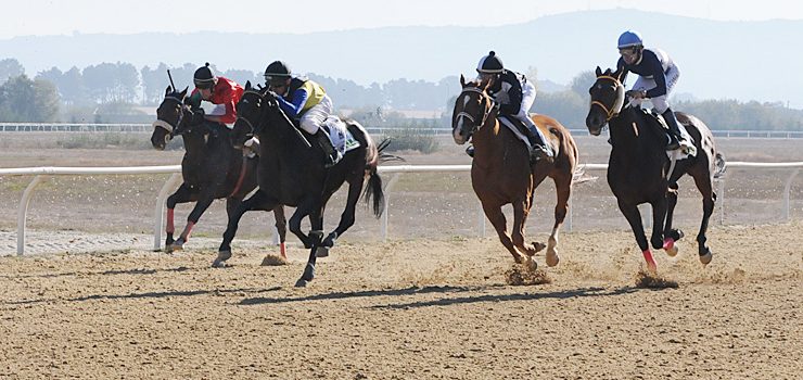 Cuarta xornada de carreiras de cabalos en Antela