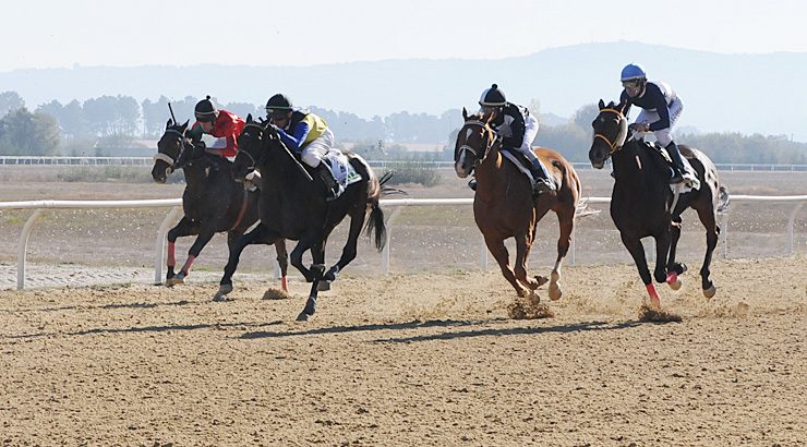 Cuarta xornada de carreiras de cabalos en Antela