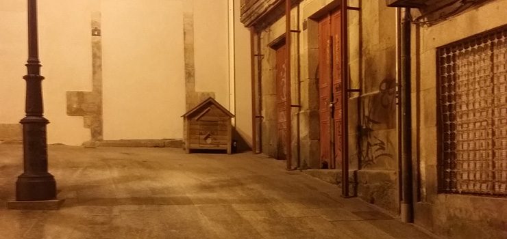 Ourense controlará as colonias de gatos abandonados