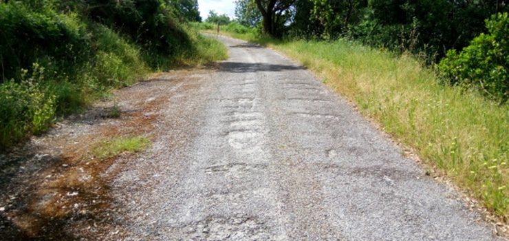 Ourense recibe 220.000 euros de Medio Rural para o arranxo de catro camiños en mal estado