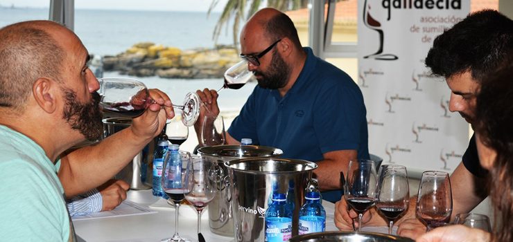 Un total de 14 vinos de Monterrei, distinguidos por la Asociación de Sumilleres de Galicia Gallaecia