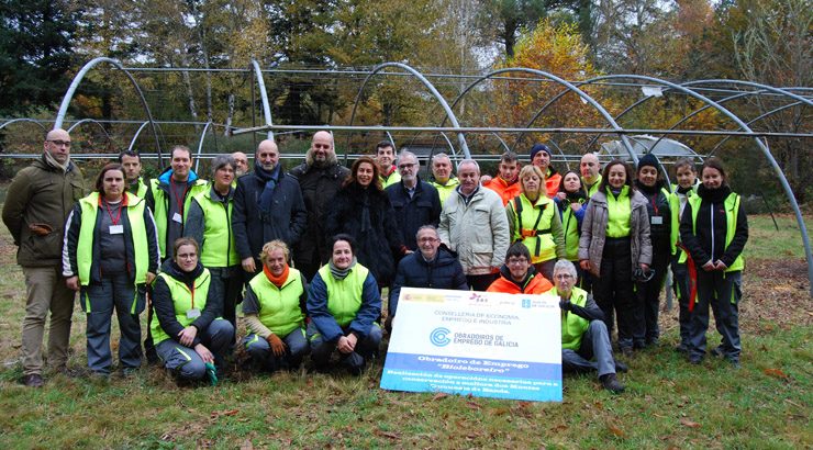 20 desempregados fórmanse en traballos forestais en Celanova