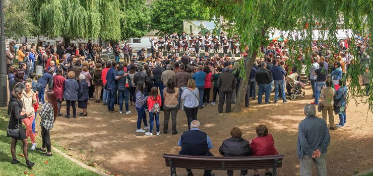 Gran participación na Festa dos Maios e na II Feira Solidaria de Verín