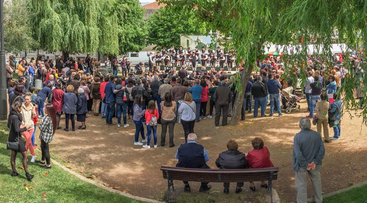 Gran participación na Festa dos Maios e na II Feira Solidaria de Verín