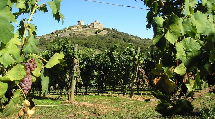 A Denominación de Orixe Monterrei celebra o sue 25º aniversario