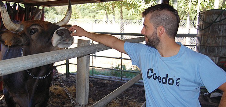 “Se o animal está ben engordado e a carne ben madurada acada un sabor manteigoso”