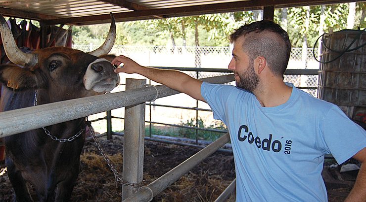 “Se o animal está ben engordado e a carne ben madurada acada un sabor manteigoso”