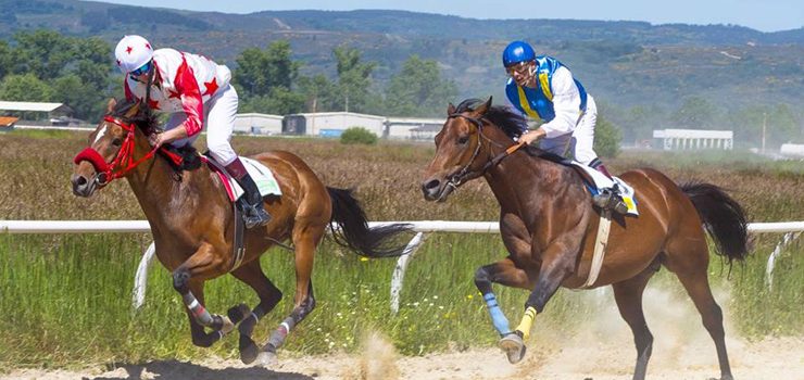 Fin de tempada no Hipódromo Antela