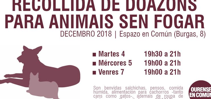 OUeC recolle alimentos para os animais sen fogar