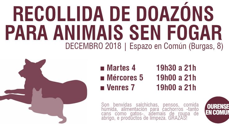 OUeC recolle alimentos para os animais sen fogar