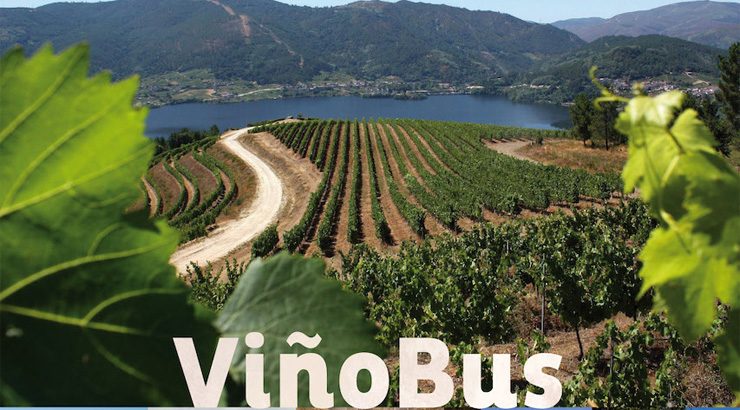 Tres rutas do ViñoBus percorrerán o Ribeiro en setembro