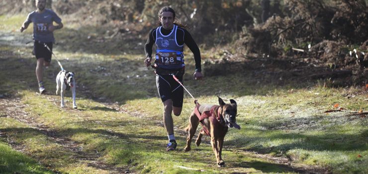 Campionato de España de Mushing Terra 2019