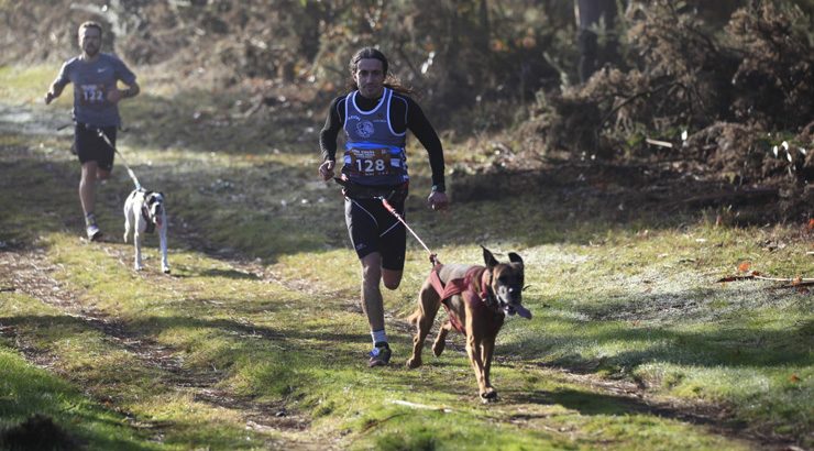 Campionato de España de Mushing Terra 2019