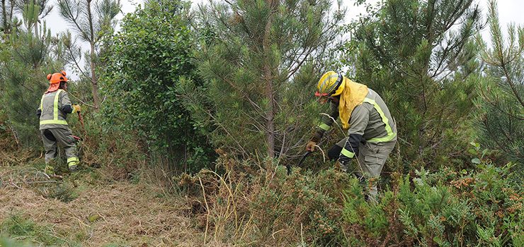 A Xunta reforza a loita contra os incendios e adopta medidas sanitarias