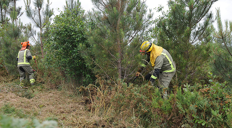 A Xunta reforza a loita contra os incendios e adopta medidas sanitarias