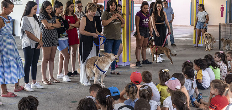 Os animais de Proanimales visitan aos cativos da ludoteca