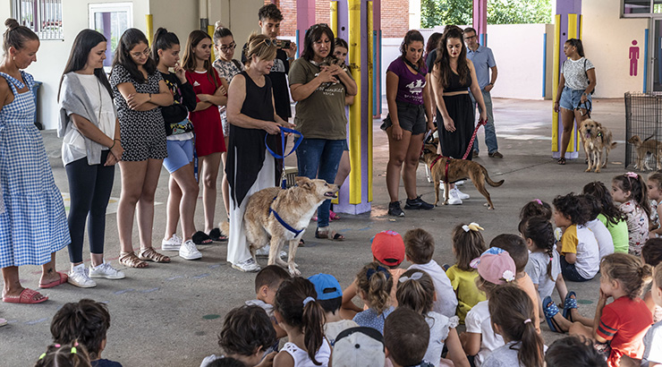 Os animais de Proanimales visitan aos cativos da ludoteca