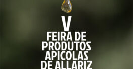 A V Feira de produtos apícolas chega a Allariz en setembro
