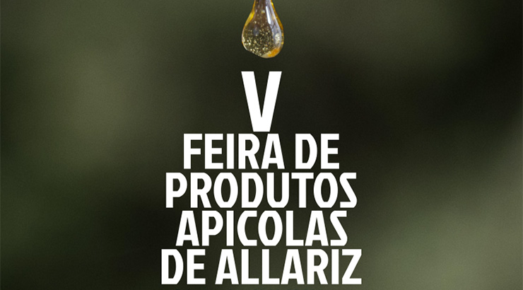 A V Feira de produtos apícolas chega a Allariz en setembro