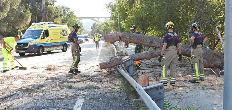 Que mellor protección que a autoprotección