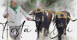 Allariz prepárase para a Festa do Boi