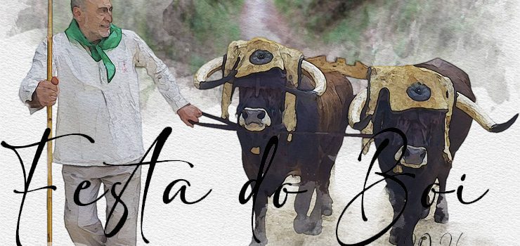 Allariz prepárase para a Festa do Boi